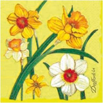 motiv-serviette-daffodils