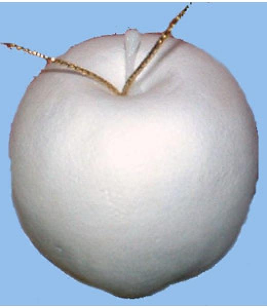 Styropor-Apfel