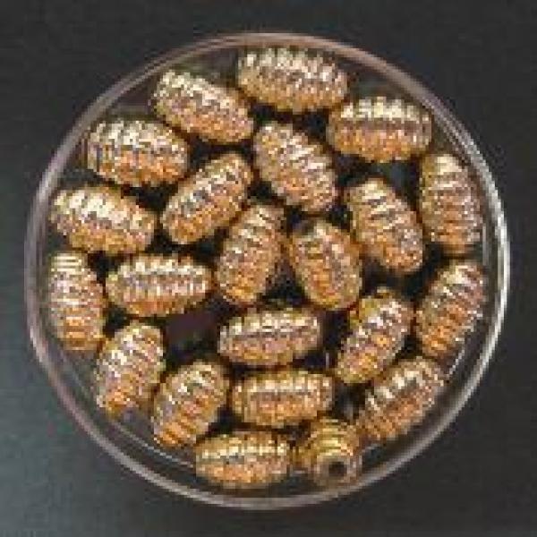 Wachsperlen, oval, 10 x 6 mm, gold-geriffelt