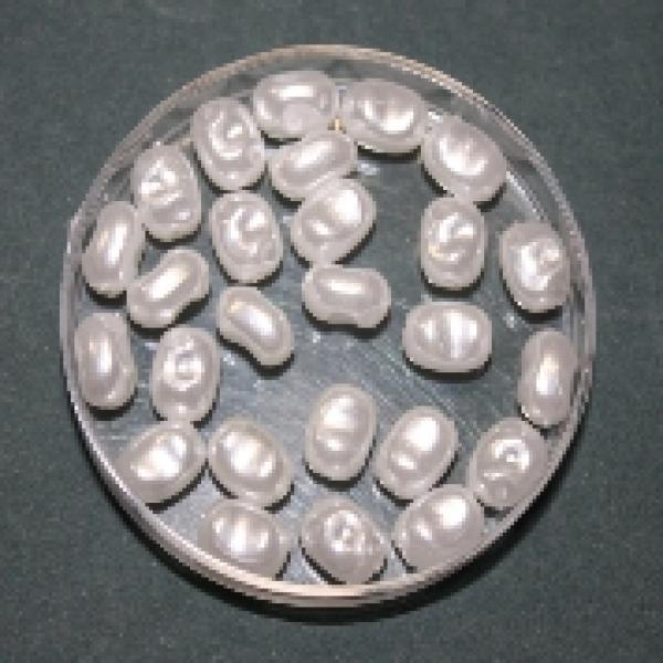 Wachsperlen, oval, 7 x 5 mm, perlweiss mit Kerbe