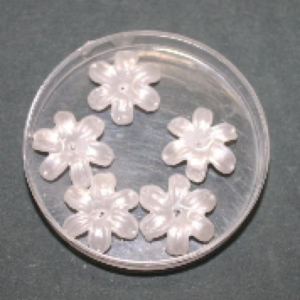 schmuckblueten_weiss